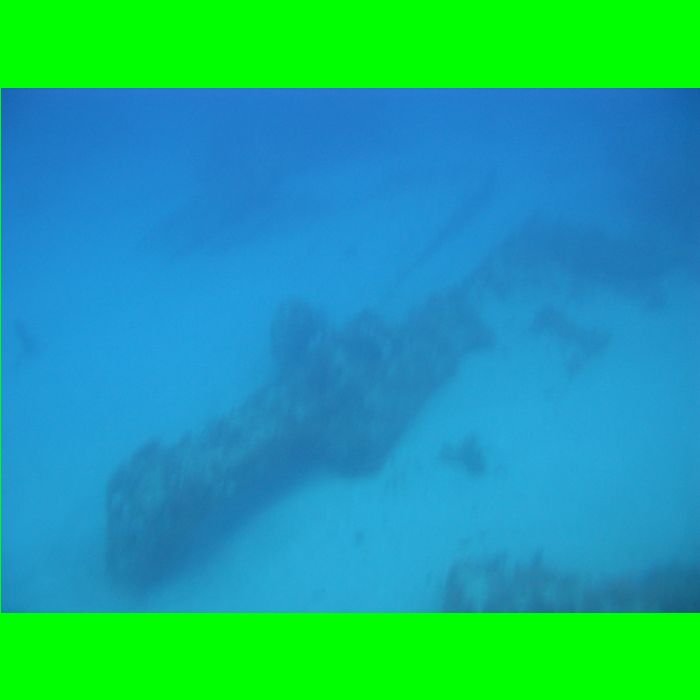 Dive WP Wrecks 25-Oct-09_430.JPG